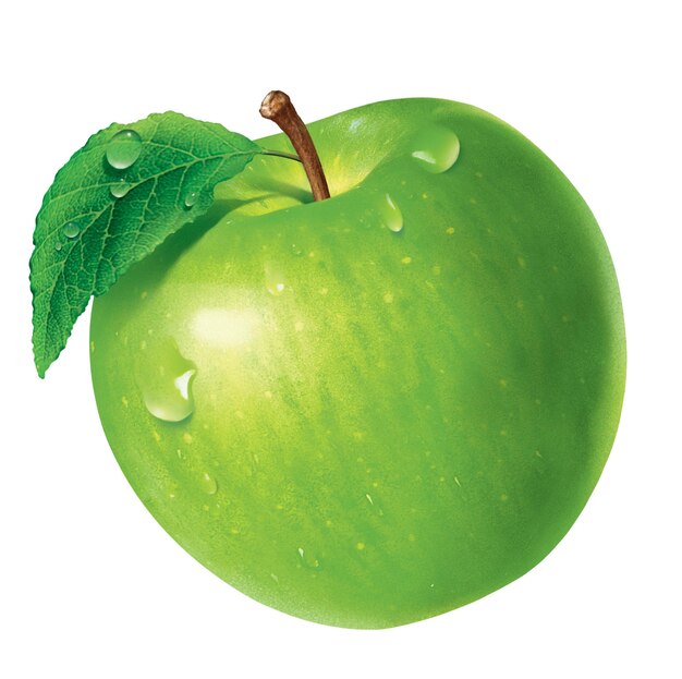 green apple with leaf it illustration_876146 169